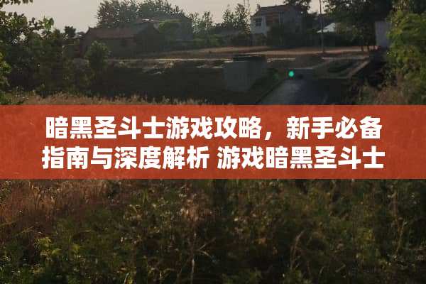暗黑圣斗士游戏攻略，新手必备指南与深度解析 游戏暗黑圣斗士攻略