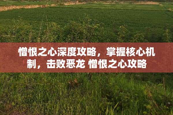 憎恨之心深度攻略，掌握核心机制，击败恶龙 憎恨之心攻略