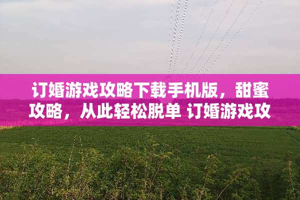 订婚游戏攻略下载手机版，甜蜜攻略，从此轻松脱单 订婚游戏攻略下载手机版