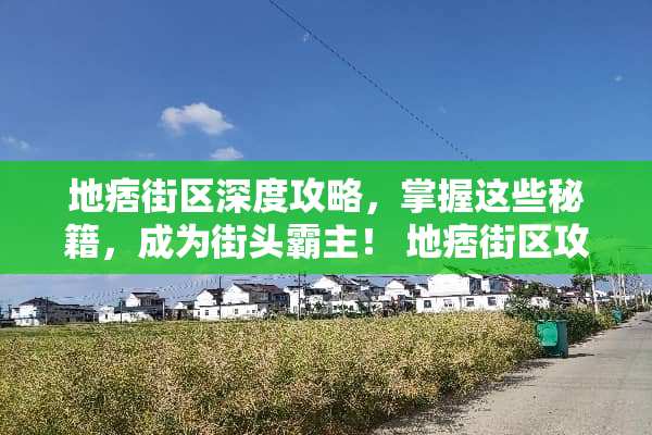 地痞街区深度攻略，掌握这些秘籍，成为街头霸主！ 地痞街区攻略