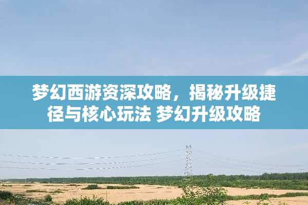 梦幻西游资深攻略，揭秘升级捷径与核心玩法 梦幻升级攻略