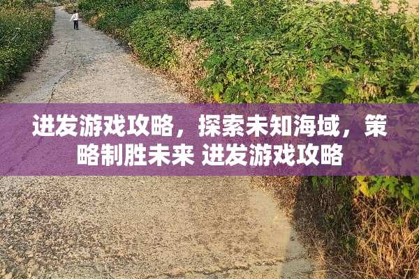 进发游戏攻略，探索未知海域，策略制胜未来 进发游戏攻略