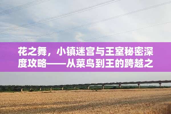 花之舞，小镇迷宫与王室秘密深度攻略——从菜鸟到王的跨越之旅 花之舞小游戏郡王攻略