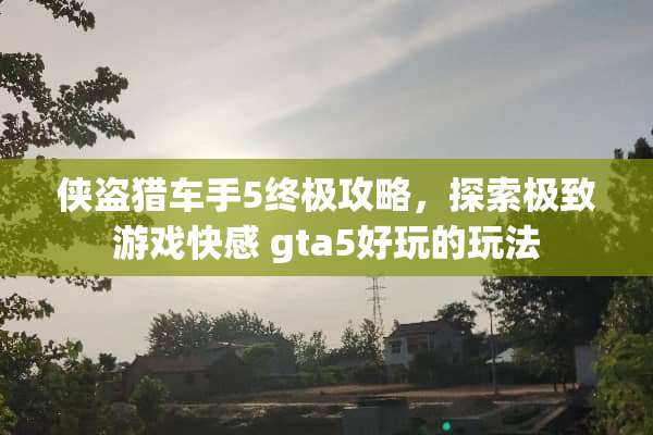 侠盗猎车手5终极攻略，探索极致游戏** gta5好玩的玩法