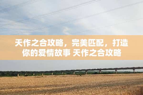 天作之合攻略，完美匹配，打造你的爱情故事 天作之合攻略