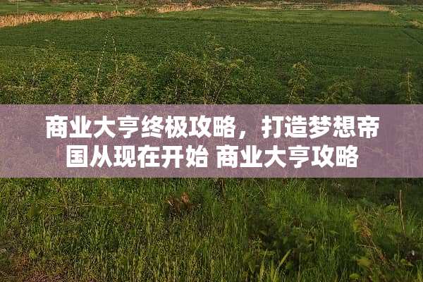 商业大亨终极攻略，打造梦想帝国从现在开始 商业大亨攻略