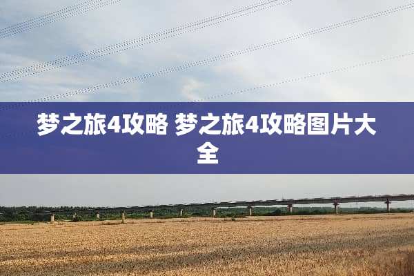 梦之旅4攻略 梦之旅4攻略图片大全