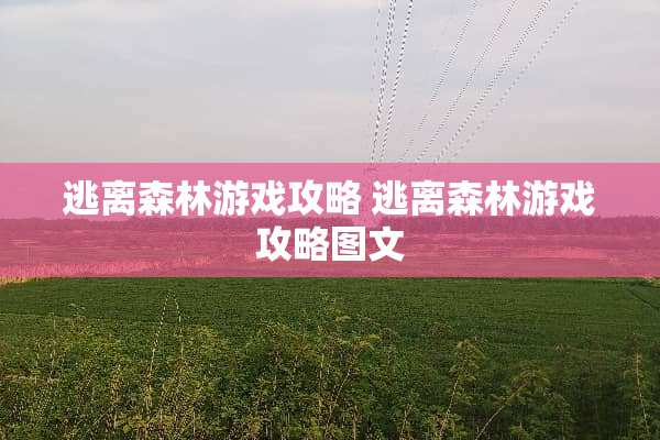 逃离森林游戏攻略 逃离森林游戏攻略图文