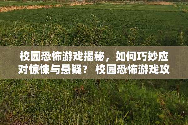 校园恐怖游戏揭秘，如何巧妙应对惊悚与悬疑？ 校园恐怖游戏攻略