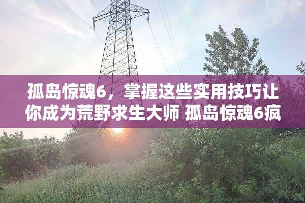 孤岛惊魂6，掌握这些实用技巧让你成为荒野求生大师 孤岛惊魂6疯狂攻略游戏
