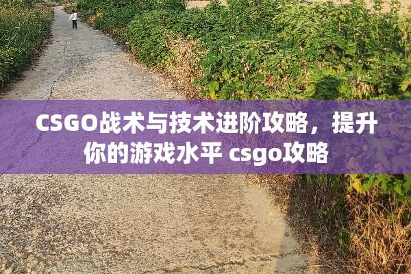 CSGO战术与技术进阶攻略，提升你的游戏水平 csgo攻略