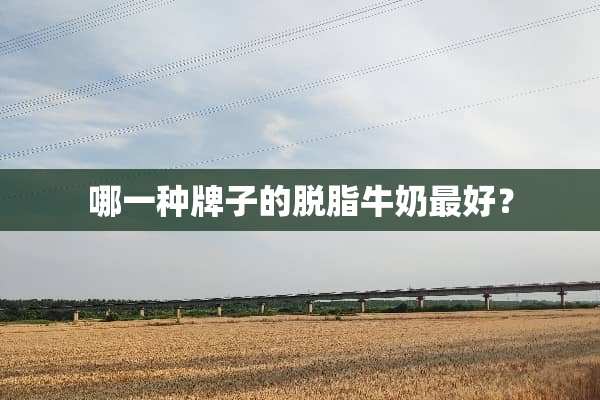 哪一种牌子的脱脂牛奶最好？