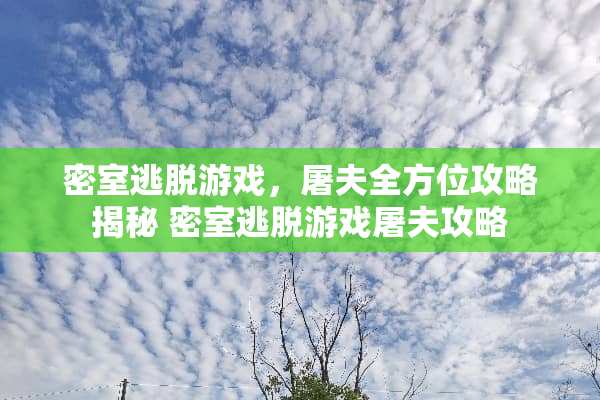 密室逃脱游戏，屠夫全方位攻略揭秘 密室逃脱游戏屠夫攻略