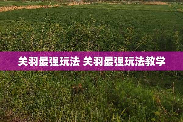关羽最强玩法 关羽最强玩法教学