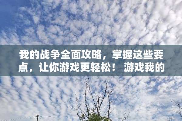 我的战争全面攻略，掌握这些要点，让你游戏更轻松！ 游戏我的战争攻略