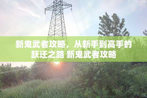 新鬼武者攻略，从新手到高手的跃迁之路 新鬼武者攻略