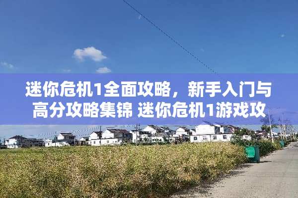 迷你危机1全面攻略，新手入门与高分攻略集锦 迷你危机1游戏攻略下载