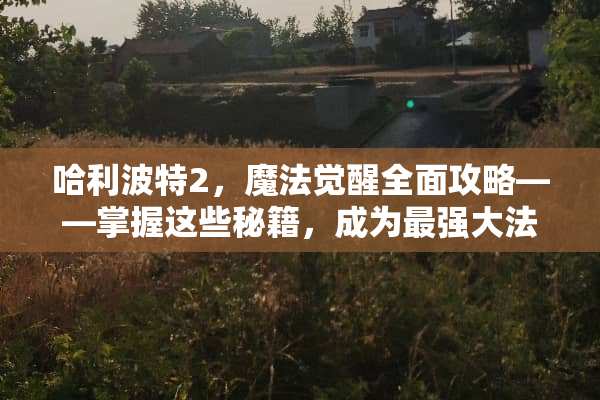 哈利波特2，魔法觉醒全面攻略——掌握这些秘籍，成为最强**师！ 哈利波特2游戏攻略