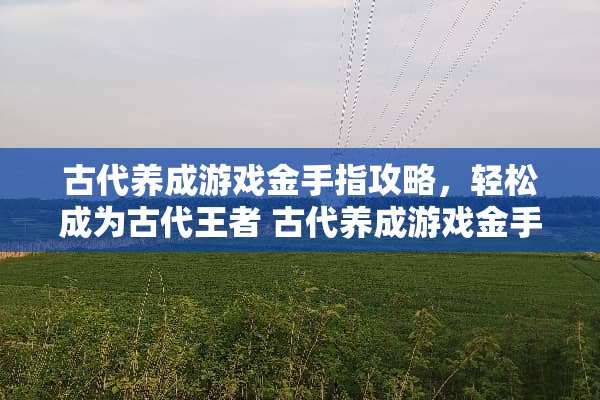 古代养成游戏金手指攻略，轻松成为古代王者 古代养成游戏金手指攻略