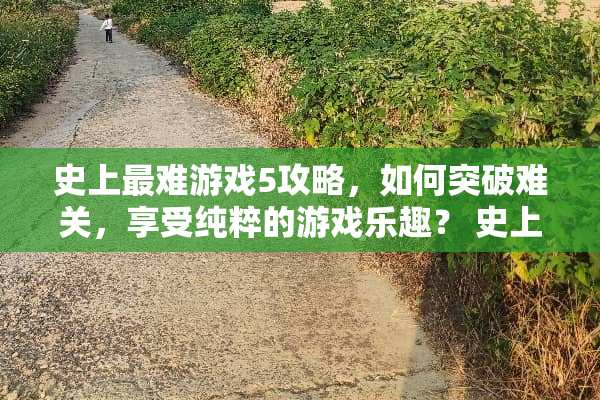史上最难游戏5攻略，如何突破难关，享受纯粹的游戏乐趣？ 史上最爹游戏5攻略