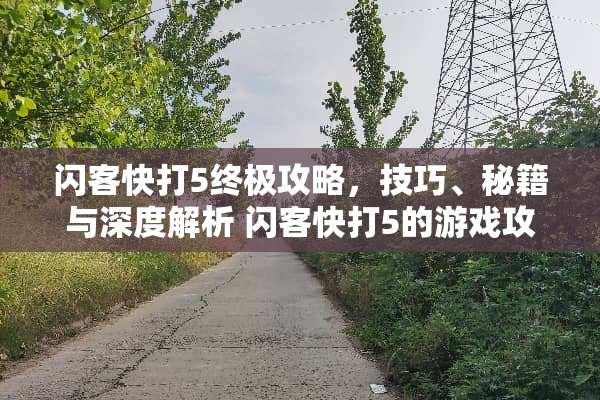 闪客快打5终极攻略，技巧、秘籍与深度解析 闪客快打5的游戏攻略