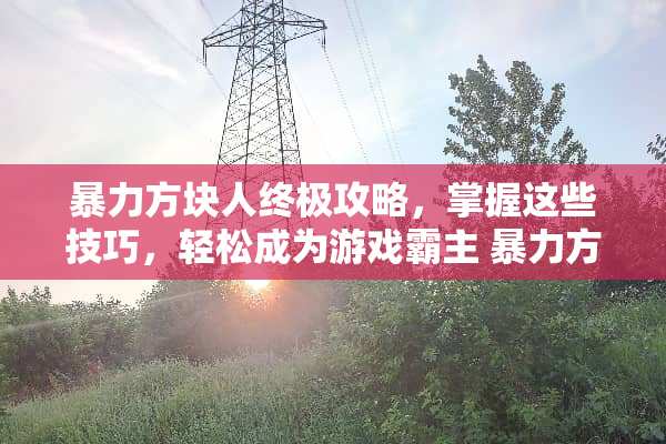 **方块人终极攻略，掌握这些技巧，轻松成为游戏霸主 **方块人游戏攻略