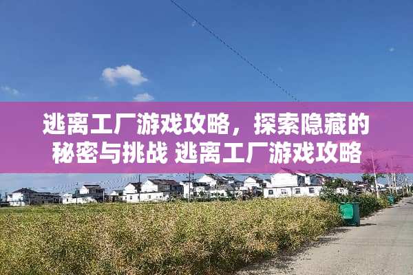 逃离工厂游戏攻略，探索隐藏的秘密与挑战 逃离工厂游戏攻略