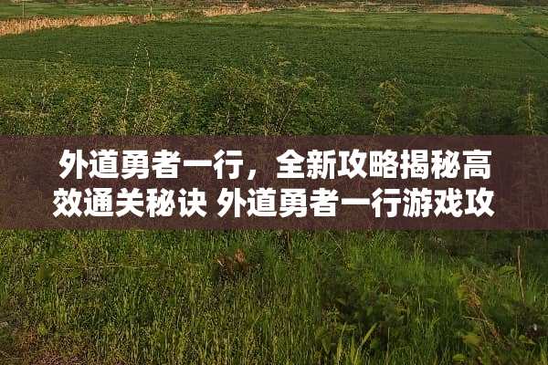 外道勇者一行，全新攻略揭秘高效通关秘诀 外道勇者一行游戏攻略