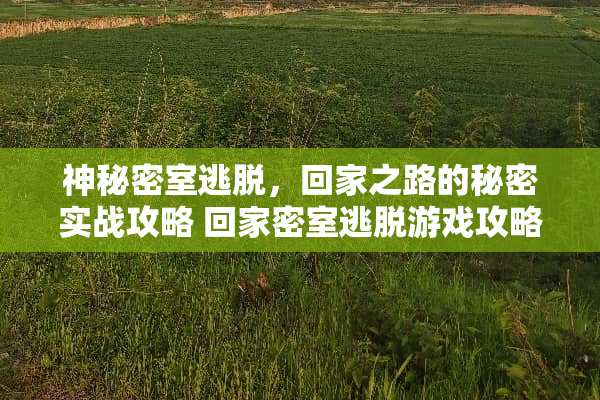 神秘密室逃脱，回家之路的秘密实战攻略 回家密室逃脱游戏攻略