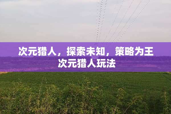 次元猎人，探索未知，策略为王 次元猎人玩法