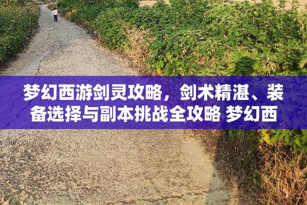 梦幻西游剑灵攻略，剑术精湛、装备选择与副本挑战全攻略 梦幻西游剑灵攻略