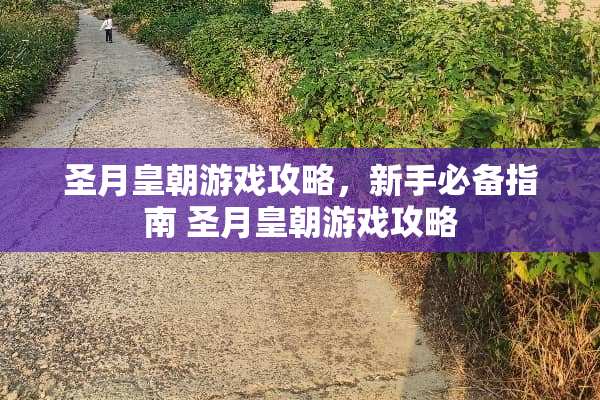 圣月皇朝游戏攻略，新手必备指南 圣月皇朝游戏攻略