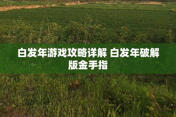 白发年游戏攻略详解 白发年**版金手指