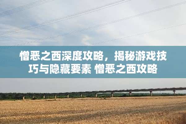 憎恶之西深度攻略，揭秘游戏技巧与隐藏要素 憎恶之西攻略