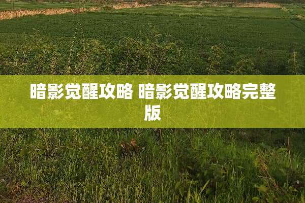 暗影觉醒攻略 暗影觉醒攻略完整版