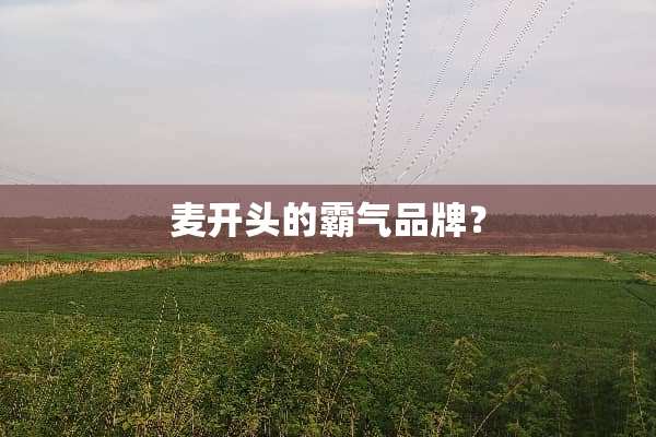 麦开头的霸气品牌？