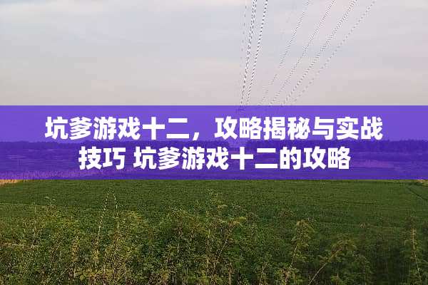 坑爹游戏十二，攻略揭秘与实战技巧 坑爹游戏十二的攻略
