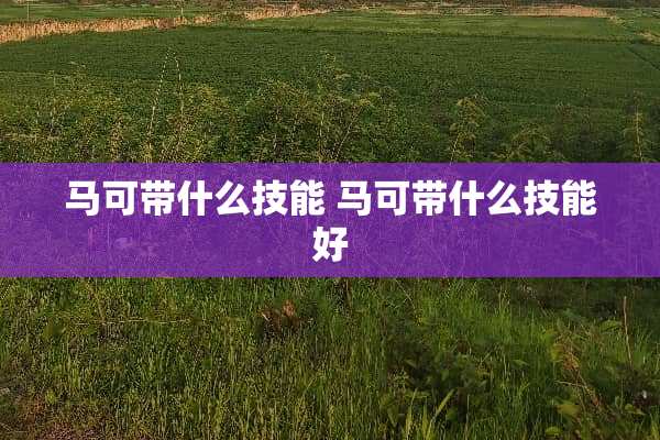 马可带什么技能 马可带什么技能好