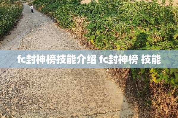 fc封神榜技能介绍 fc封神榜 技能