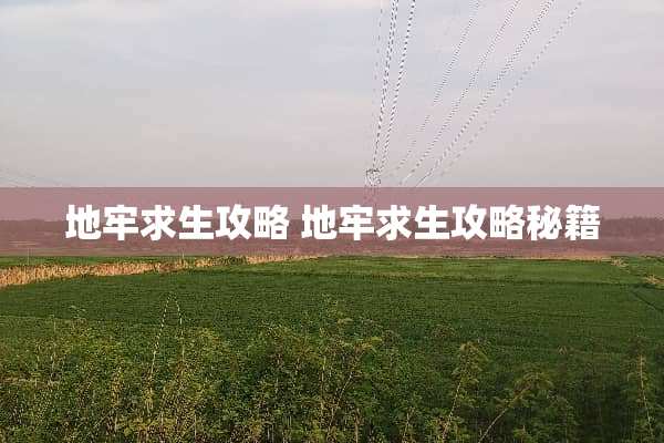地牢求生攻略 地牢求生攻略秘籍