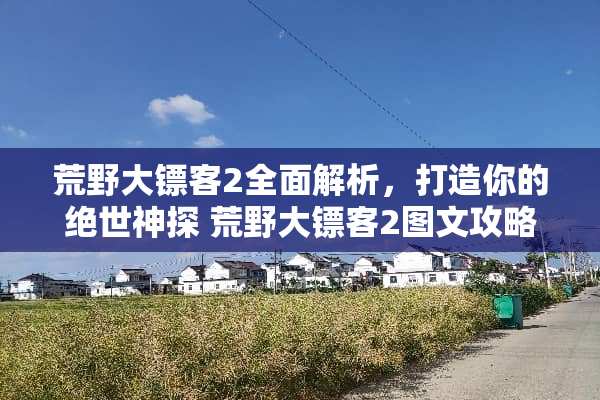 荒野大镖客2全面解析，打造你的绝世神探 荒野大镖客2图文攻略