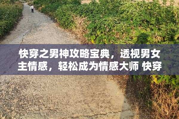 快穿之男神攻略宝典，**男女主情感，轻松成为情感大师 快穿之男神攻略宝典