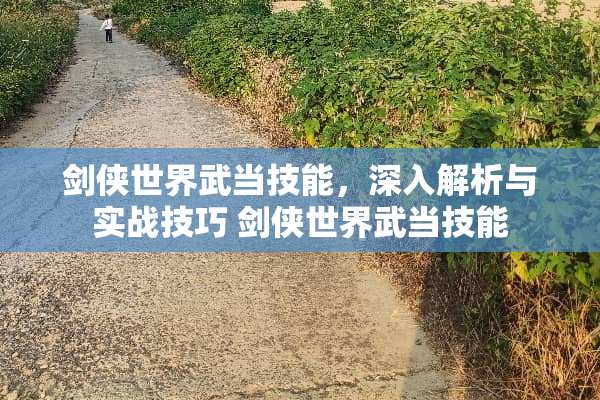 剑侠世界武当技能，深入解析与实战技巧 剑侠世界武当技能