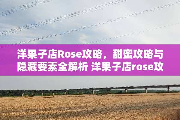洋果子店Rose攻略，甜蜜攻略与隐藏要素全解析 洋果子店rose攻略