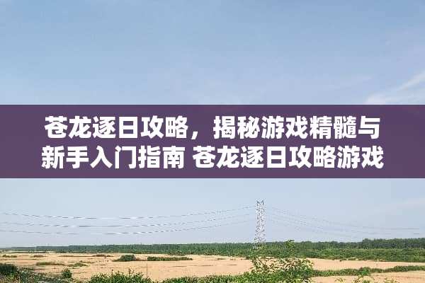 苍龙逐日攻略，揭秘游戏精髓与新手入门指南 苍龙逐日攻略游戏