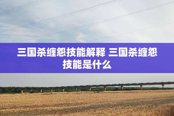 三国杀缠怨技能解释 三国杀缠怨技能是什么