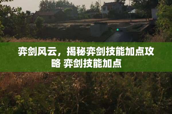弈剑风云，揭秘弈剑技能加点攻略 弈剑技能加点