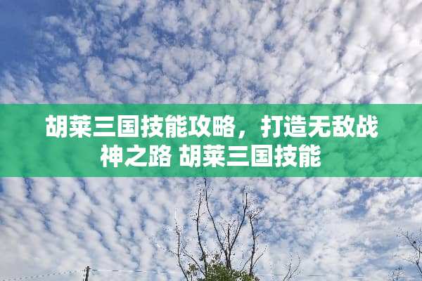 胡莱三国技能攻略，打造无敌战神之路 胡莱三国技能