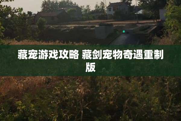 藏宠游戏攻略 藏剑宠物奇遇重制版