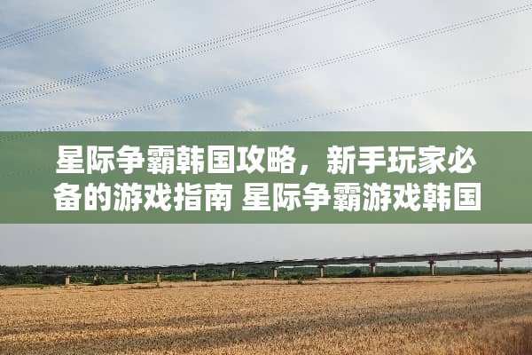 星际争霸韩国攻略，新手玩家必备的游戏指南 星际争霸游戏韩国攻略